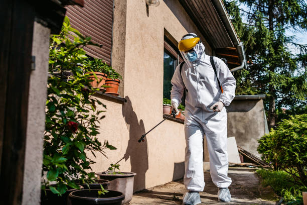 Best Affordable Pest Control Services  in Mountain House, CA