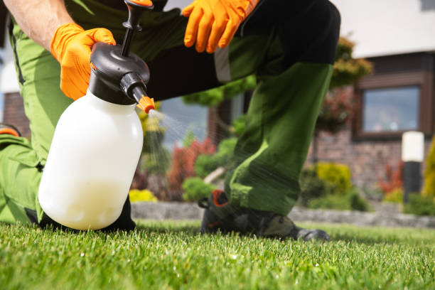Trusted Mountain House, CA Pest Control Experts