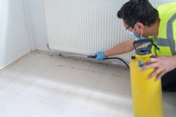 Best Pest Removal Services  in Mountain House, CA